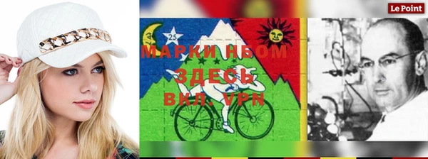 шишки Алзамай