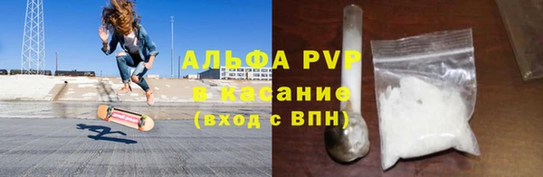 индика Алексин