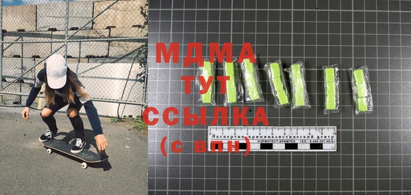 индика Алексин