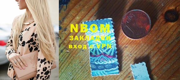 индика Алексин