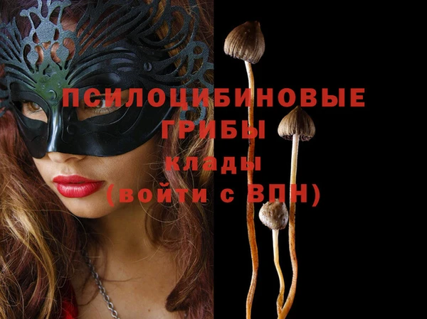шишки Алзамай
