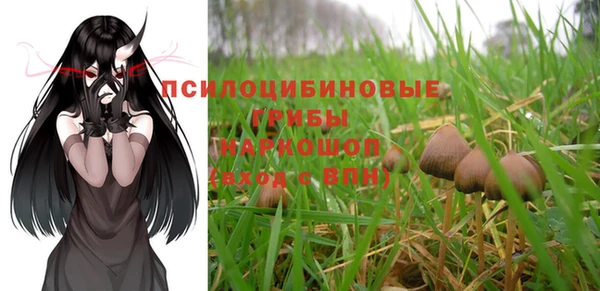 шишки Алзамай