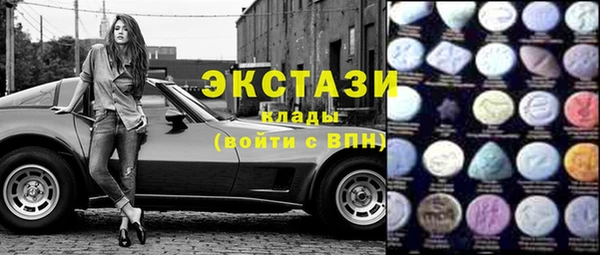 индика Алексин