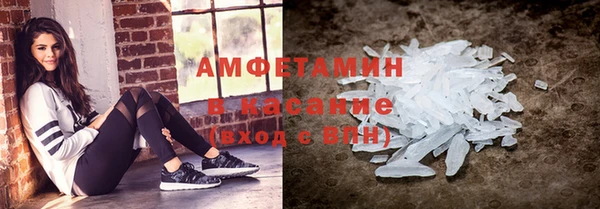 индика Алексин