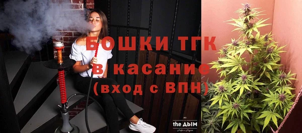 индика Алексин