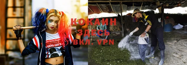 индика Алексеевка