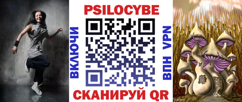 что такое   Егорьевск  Галлюциногенные грибы Psilocybe 