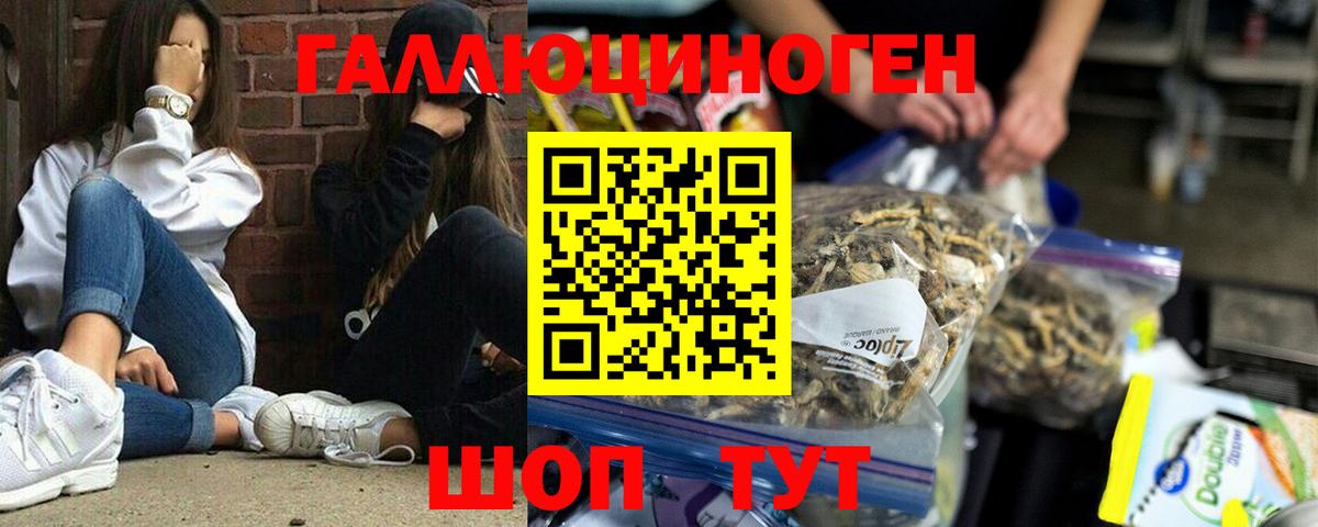 Галлюциногенные грибы Cubensis  продажа наркотиков  Егорьевск  Вход с VPN 